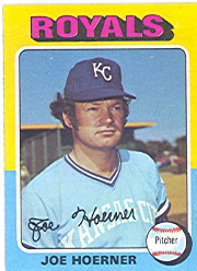 1975 Topps Baseball Cards      629     Joe Hoerner